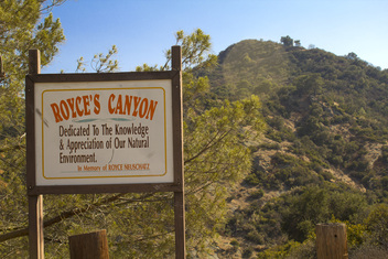Royce's Canyon