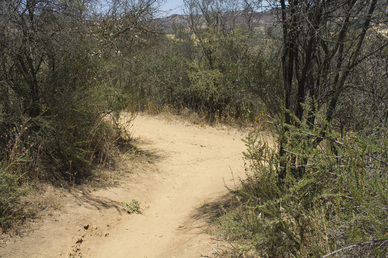 Hacienda Trail Junction