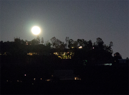 Franklin Canyon Moon Rise